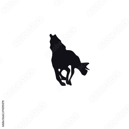 Horse Silhouette