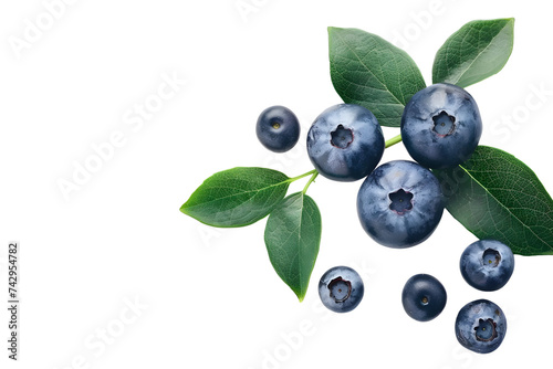 Top view fresh blueberries with green leaves PNG