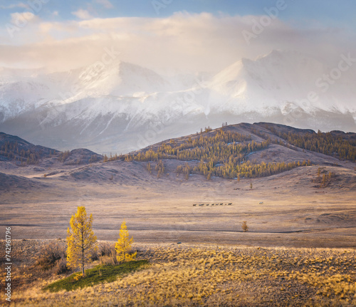 View of a beautiful valley landscape in autumn colours with mountains in background, Altai Mountain range, North Altai, Gorny Altai republic, Russia. photo