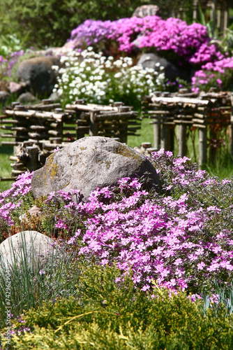 The drought-resistant phlox well grows at tops of garden hills. At plentiful flowering forms motley carpets of bright tones.