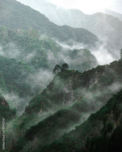 View of layered mountain valley with trees and clouds, rainforest pandora mood, Madeira island, Portugal photo