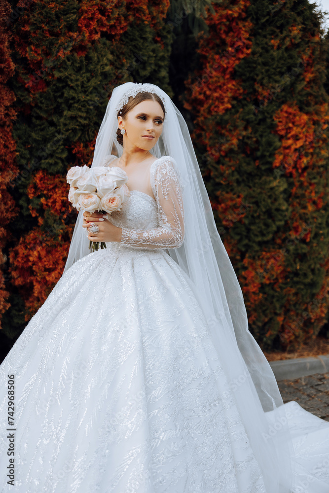 Portrait. A brunette bride in a dress and a veil, with a chic crown, poses with a bouquet. Silver jewelry. Beautiful makeup and hair. Autumn wedding. celebration