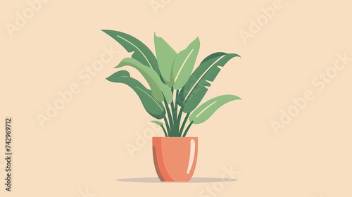 Colorful houseplant brightens your design photo