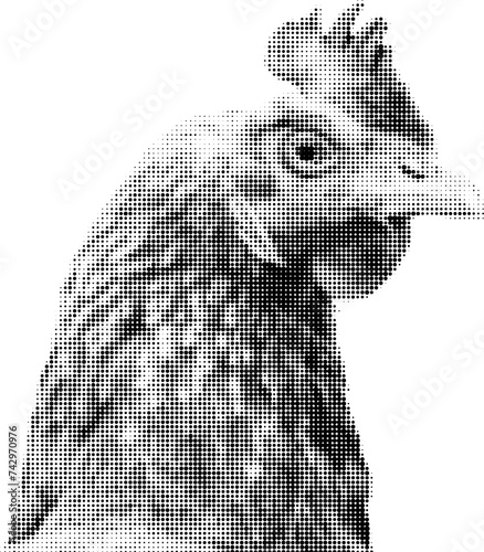 Monochrome halftone drawing of a chicken head with Beak and Feathers on a white background. vector illustration