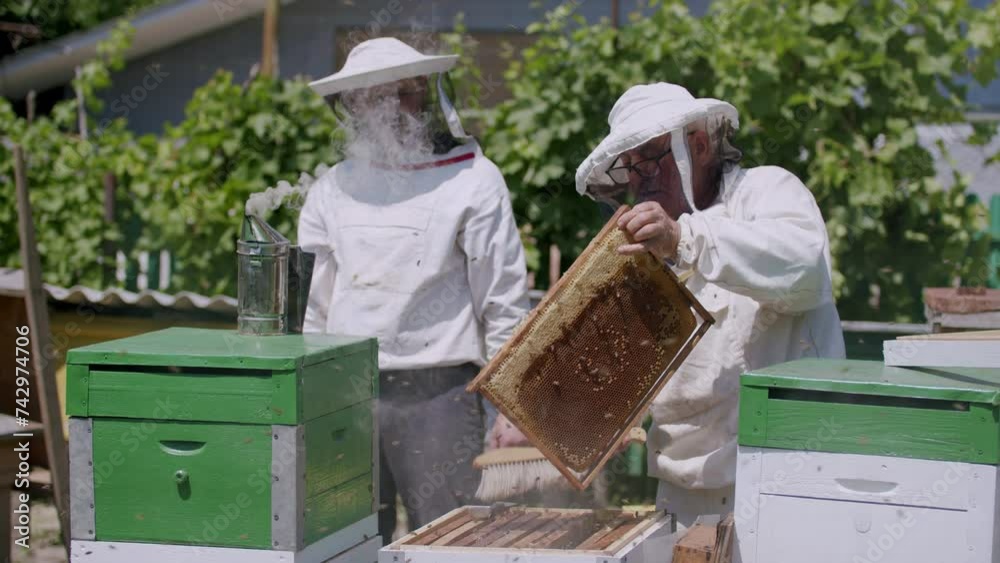Beekeepers in safety suits retrieve hives from boxes honey production Beekeepers explore bee hives marvels of bees pollination process of creating tasty honey. Beekeepers focus on organic nutrition. Beekeepers in safety suits retrieve hives from boxes honey production Beekeepers explore bee hives marvels of bees pollination process of creating tasty honey. Beekeepers focus on organic nutrition.