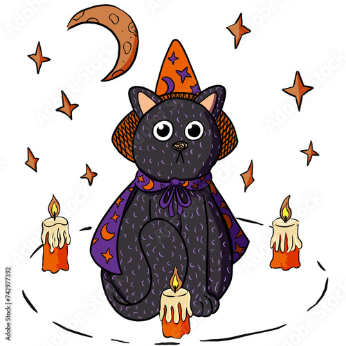Black cat Halloween