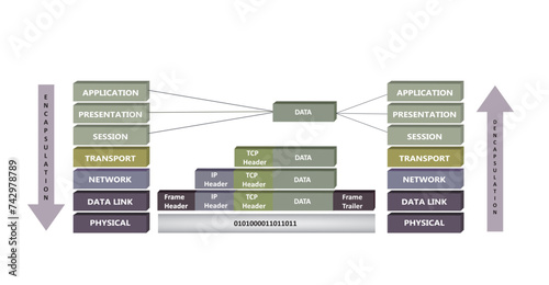 Encapsulation and deencapsulation proces in OSI reference model, vector