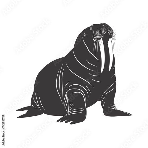 Silhouette walrus animal black color only full body