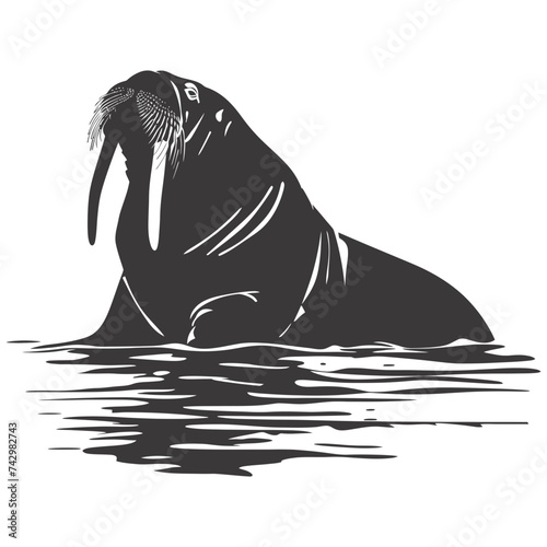 Silhouette walrus animal black color only full body