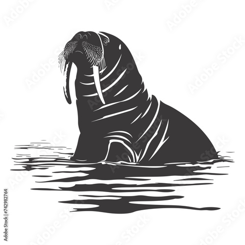 Silhouette walrus animal black color only full body
