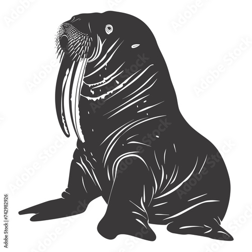 Silhouette walrus animal black color only full body