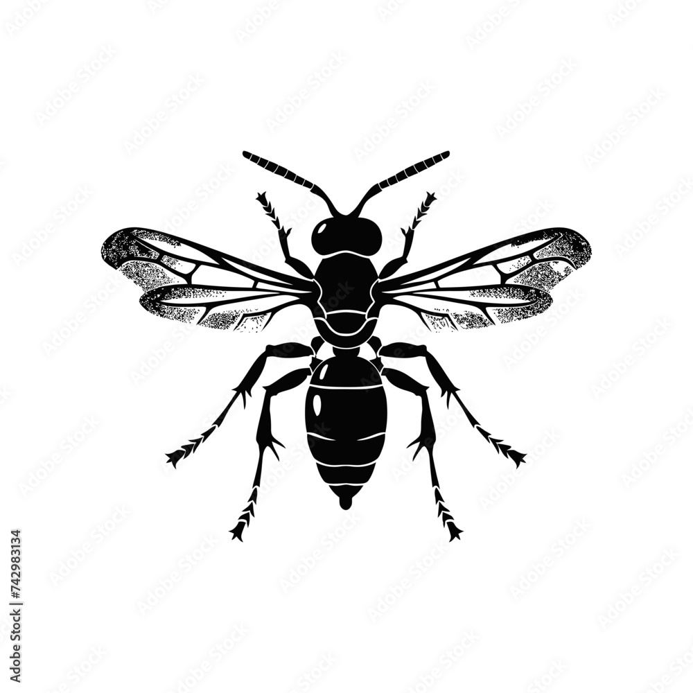 Silhouette wasp animal black color only full body Silhouette wasp animal black color only full body
