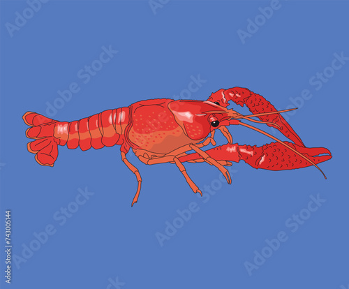 Crawfish Crayfish Crawdads Crawldads Mudbugs