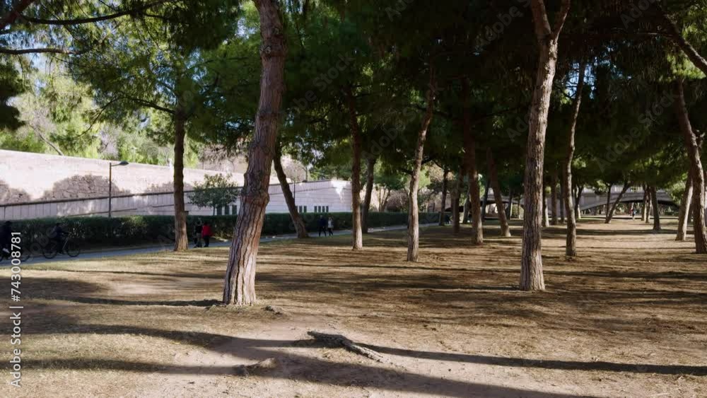 Walk through the green Turia Park in Valencia. A sunny warm day in mid-February in Spain. A popular place for active recreation. Walk through the green Turia Park in Valencia. A sunny warm day in mid-February in Spain. A popular place for active recreation.