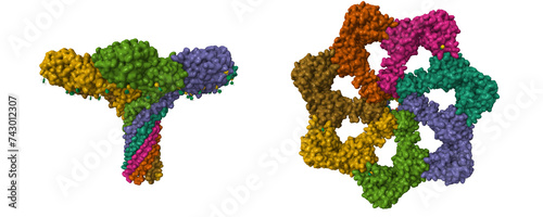 Canvas Print Structure of pore-forming CEL-III