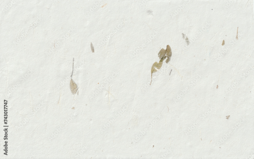 Kraft unique organic art design paper texture with detailed leafs fibers. Kraft unique organic art design paper texture with detailed leafs fibers.