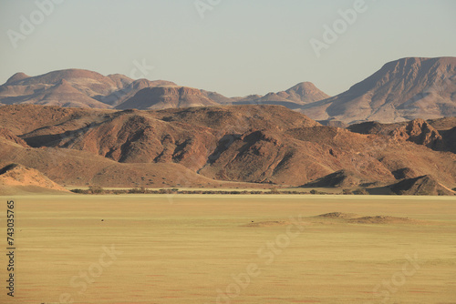 red desert sand plaine with bright green fresh grass growing  red mountain range in the background