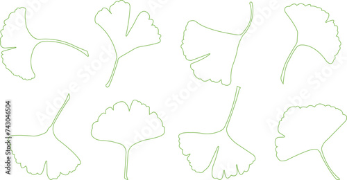 Cartoon line ginkgo biloba leaf silhouette icon set isolated on transparent background. Nature eco green vector collection. Leaflet organic leaves cosmetics and medical plant icon