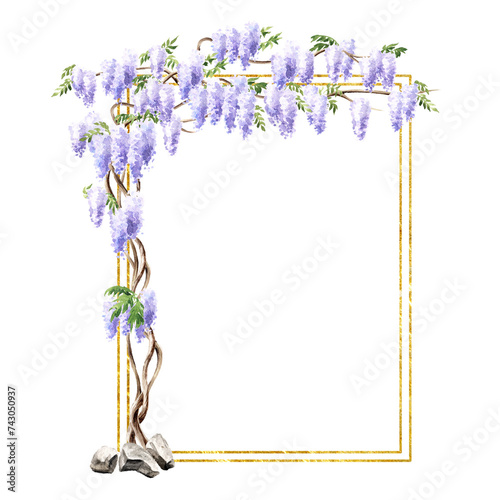 Wisteria blossom tree arch.  Hand  drawn watercolor  illustration isolated on white background