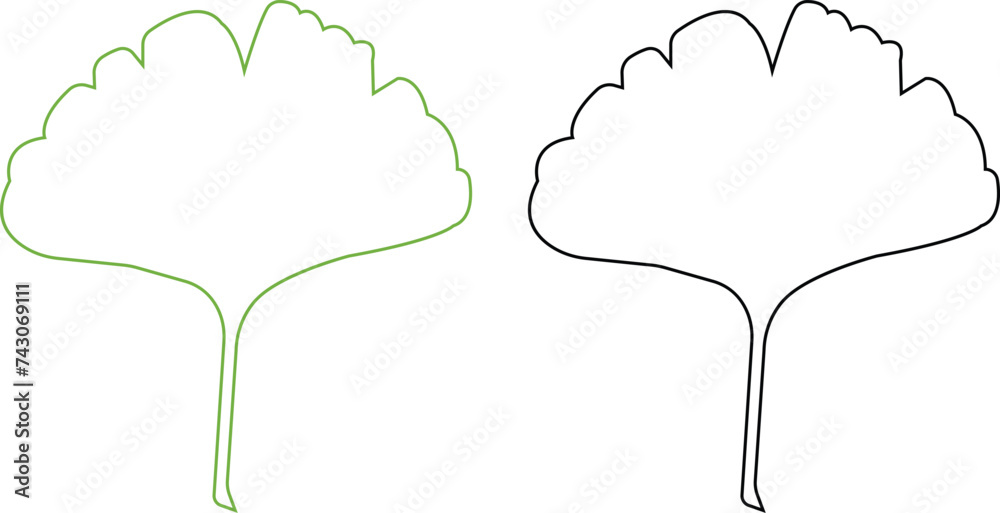 Cartoon line ginkgo biloba leaf silhouette icon set isolated on transparent background. Nature eco green and black vector collection. Leaflet organic leaves cosmetics and medical plant icon Cartoon line ginkgo biloba leaf silhouette icon set isolated on transparent background. Nature eco green and black vector collection. Leaflet organic leaves cosmetics and medical plant icon