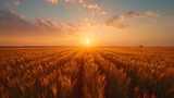 wheat field at sunset 3d,
Golden field with ripe wheat ears at sunset food crisis and world hunger concept growing wheat sprou
