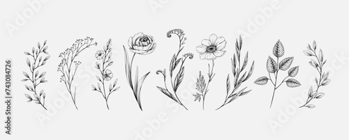 Botanic set of detailed various flowers and brunch. Luxury vintage floral collection for wedding invitation, wallpaper art or save the date card. Botanical vector illustration