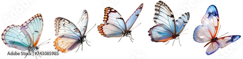 Set of the most delicate blue flying butterflies isolated on a transparent background.