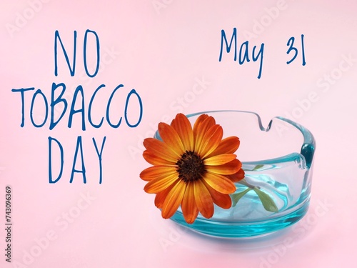 May 31 World no tobacco day poster. Ashtray with flower and text on a pink background