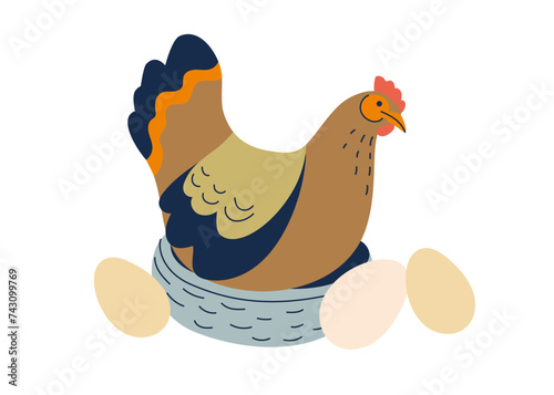 Chicken sitting on nest with eggs. Agriculture, farming, domestic animals, nature concept