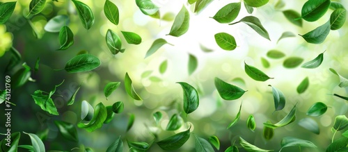 Vibrant green leaves are blowing in the wind on a sunny day, creating a dynamic movement and adding a touch of nature to the scene.