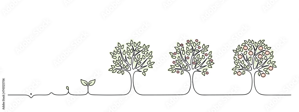 apple tree growth cycle, growing tree lineart, black line vector illustration, design element, grow a garden