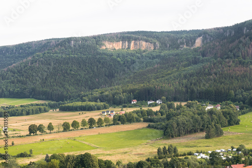 Górskie zbocze porośnięte lasem photo