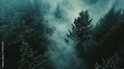 Foggy forest, drone shot