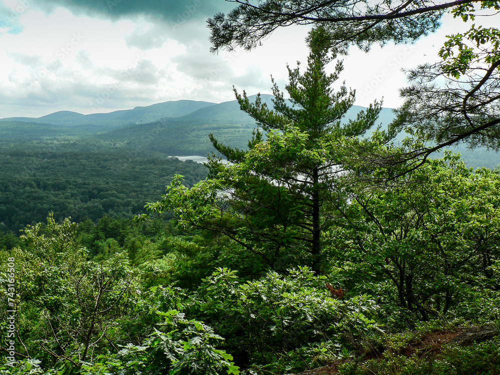 Obraz premium Cloudy Day Over Acadia National Park, Maine