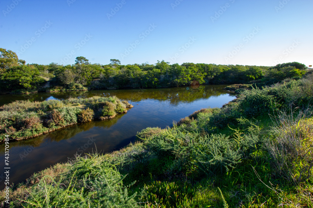 lago lago
