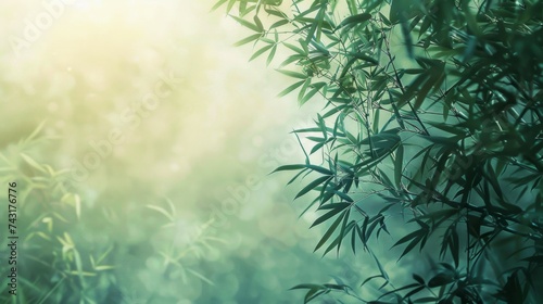Serene Bamboo Abstract Background with Green Nature Leaves Calm Light Flora