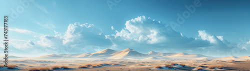 banner illustration of a desert landscape with dunes in background, cloudy sky