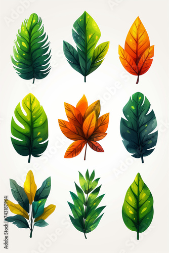 illustration de feuilles et plantes, nature automne, printemps, couleurs naturelles, arbres verdure