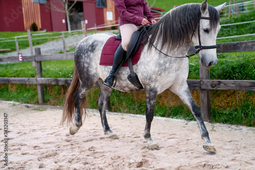 Unrecognizable Side perspective of a young rider on a white horse in a countryside sand arena.