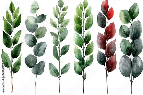feuilles d'arbre, dessin aquarelle pour conception graphique, branches, vert, rouge