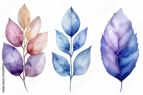 feuilles d'arbre, dessin aquarelle pour conception graphique, tons bleus, mauve, violets, couleurs froides