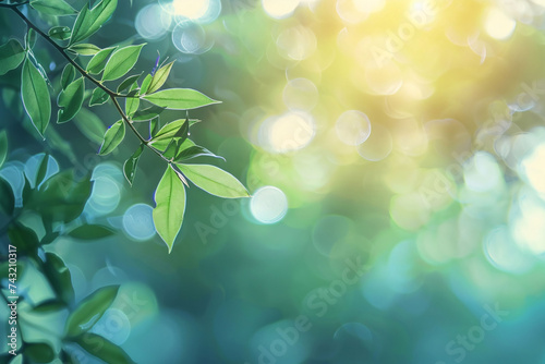 Tranquil Green Leaves with Sunbeam Bokeh and Natural Light