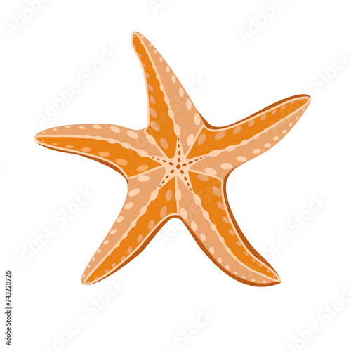 Starfish isolated on white background. Vector illustration in flat technique 