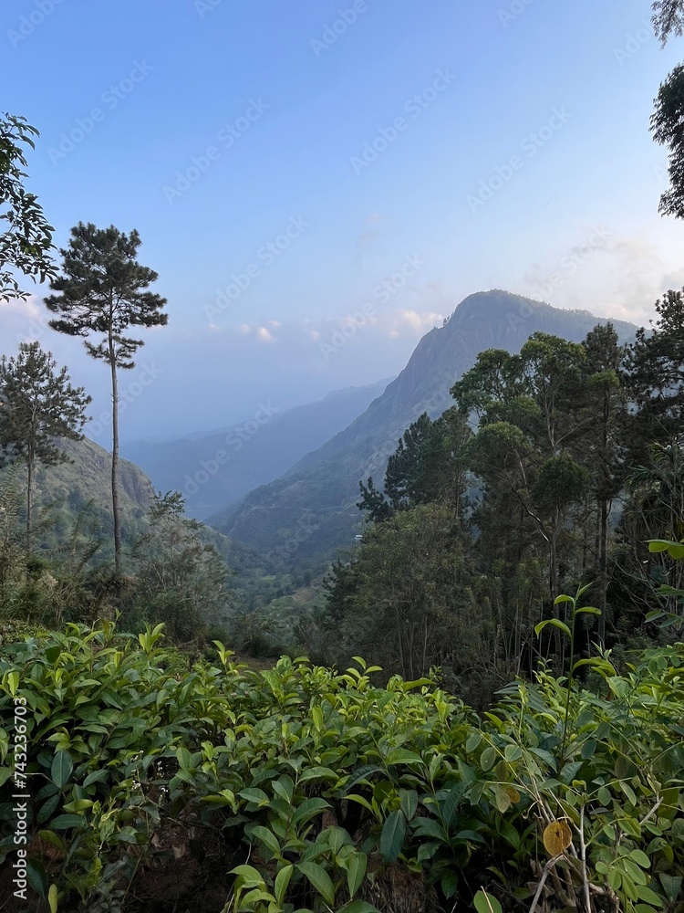 clouds over the mountains, Ella rock , Sri Lanka
