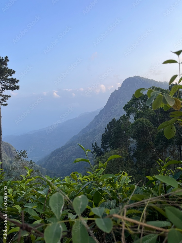 Obraz premium landscape in the morning, Ella rock, Sri lanka