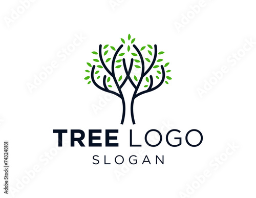 The logo design is about Tree and was created using the Corel Draw 2018 application with a white background.