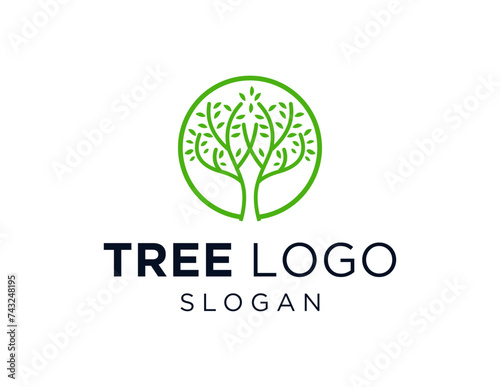 The logo design is about Tree and was created using the Corel Draw 2018 application with a white background.