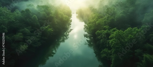 A river winds its way through a dense, thriving forest, the greenery enveloping the water in a tranquil scene. The lush vegetation creates a vibrant landscape filled with life.