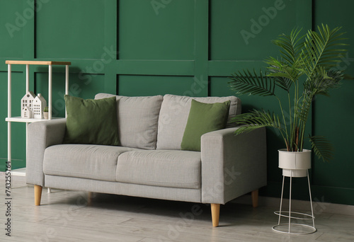 Interior of stylish living room with comfortable sofa, houseplant and shelves © Pixel-Shot