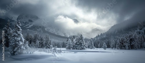 A winter scene featuring a snowy landscape with tall trees and mountains in the background under cloudy weather. The snow-covered ground contrasts with the dark silhouettes of the trees and jagged